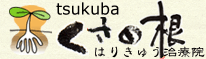 腰痛・肩凝り・膝痛・寝違えなどさまざまな痛みには・・・つくば草の根はりきゅう治療院